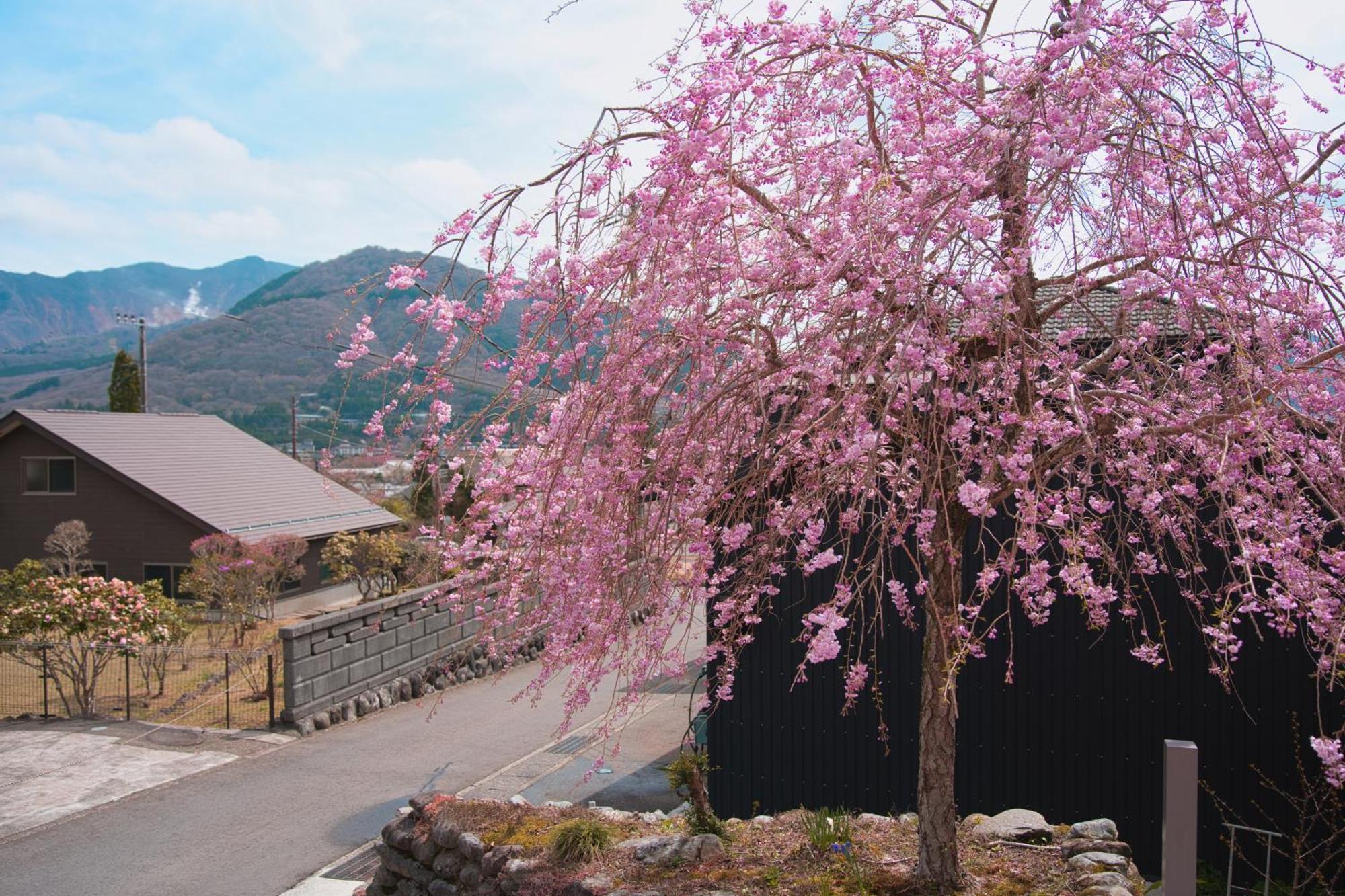 Root Hakone Hotel Exterior foto